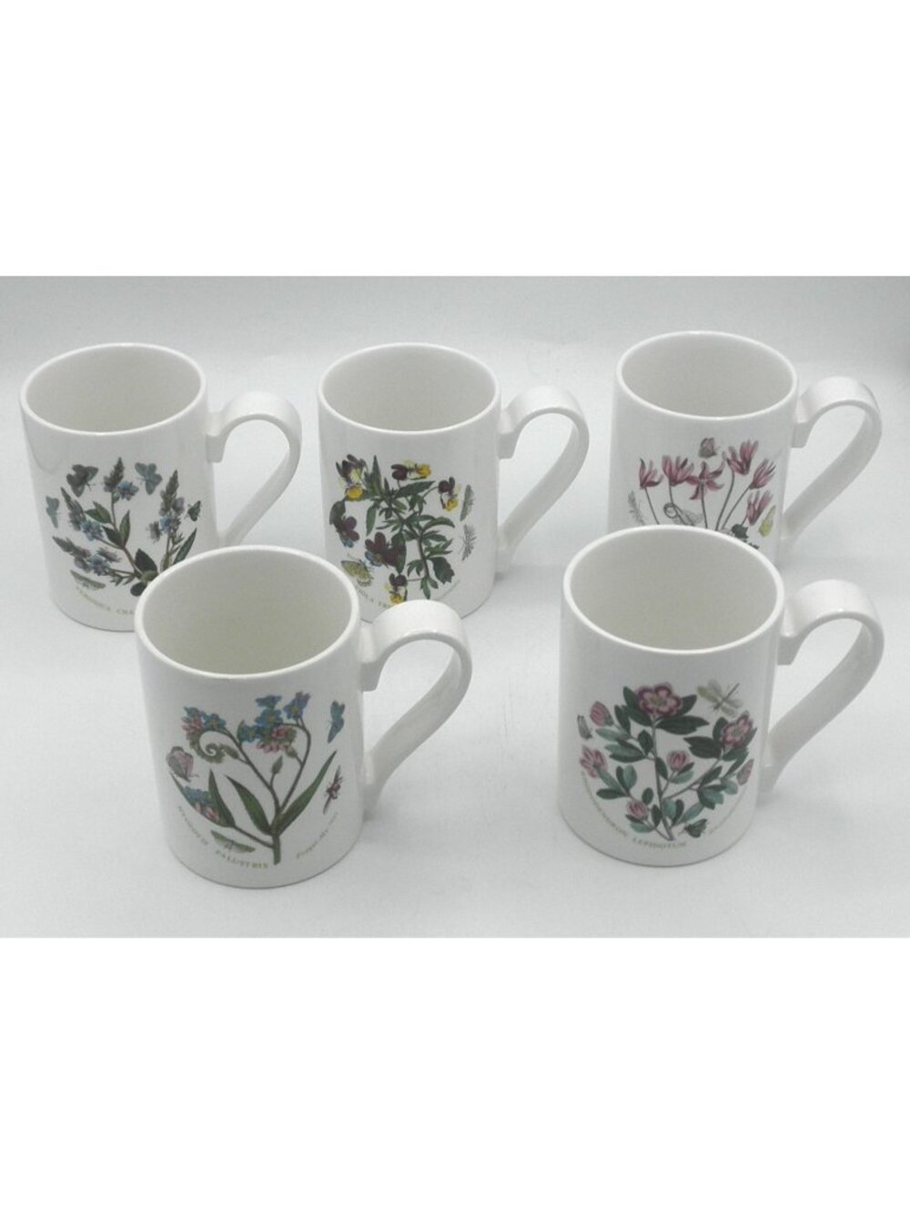 Portmeirion Botanic Garden 12 Ounce Mugs Set of 5 Assorted Pattern Code: PRTBOG